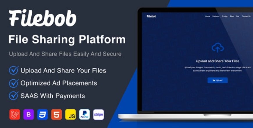 Filebob v1.8.0 - File Sharing And Storage Platform (SAAS) - nulled