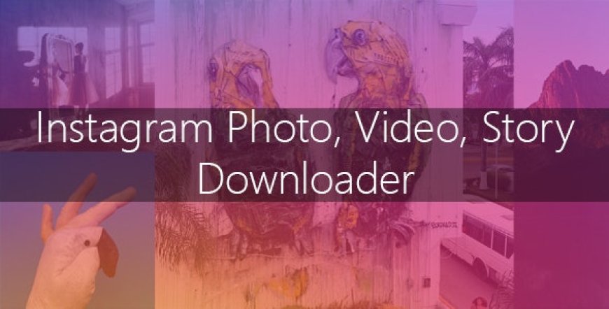 Instagram Image-Video and Story Downloader v3.1.0