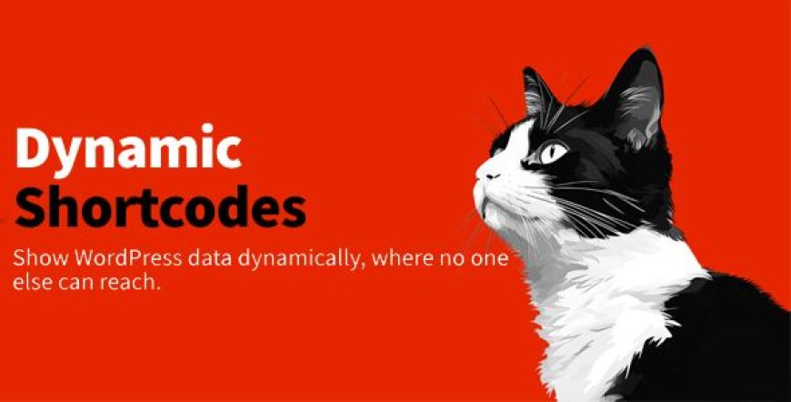 Dynamic Shortcodes v1.5.1