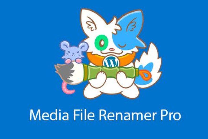 Media File Renamer Pro v5.9.4