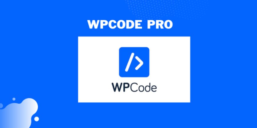 WPCode Pro v2.2.1 - The Best WordPress Code Snippets Plugin