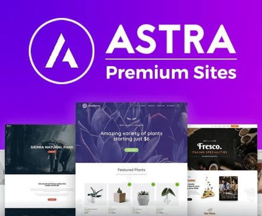 Astra Premium Starter Templates Pro v4.4.5