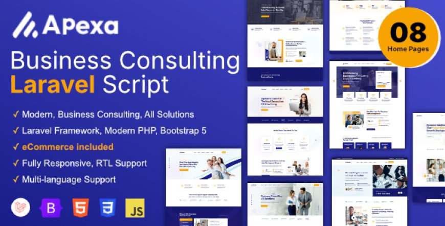 Apexa v1.0.6 - Multi-Purpose Business Consulting Laravel Script - nulled