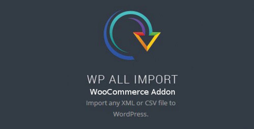 WP All Import Pro v4.9.1 beta1.2