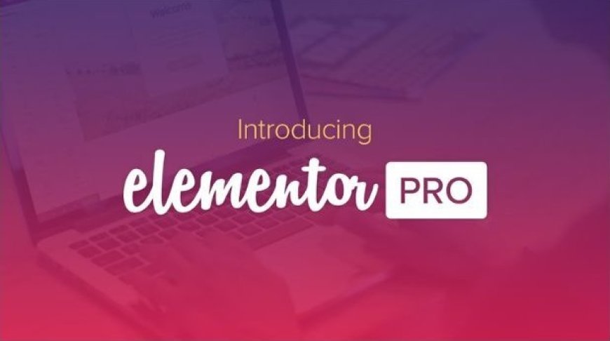 Elementor Pro v3.24.1