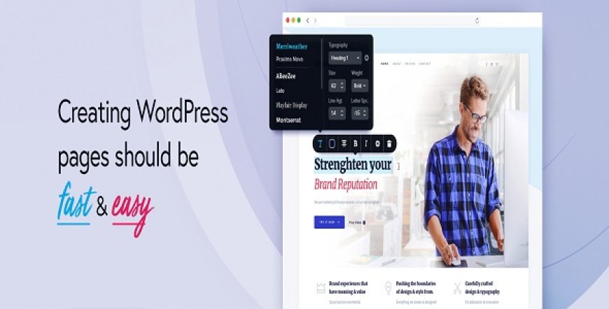 Brizy Pro v2.5.6 - WordPress Builder Plugin