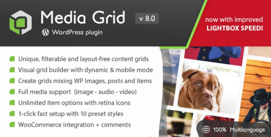 Media Grid v8.0.2 - Wordpress Responsive Portfolio