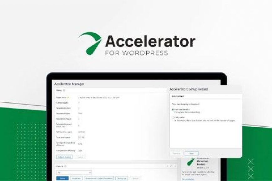 Seraphinite Accelerator v2.22.10