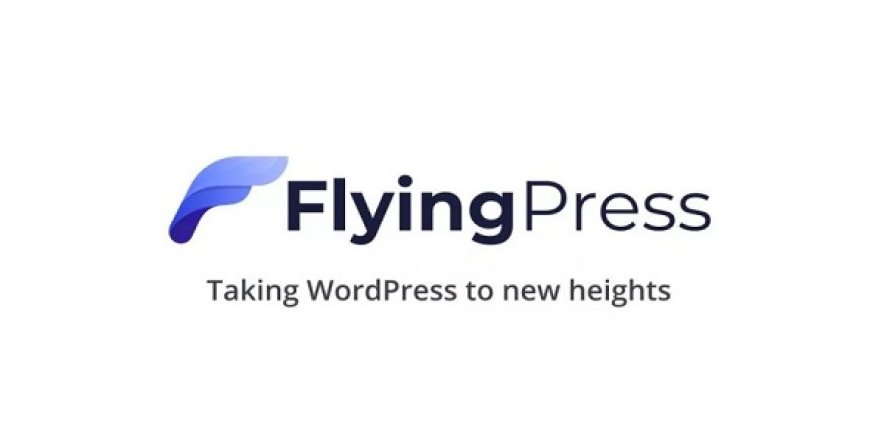 FlyingPress v4.15.0 - Taking WordPress To New Heights