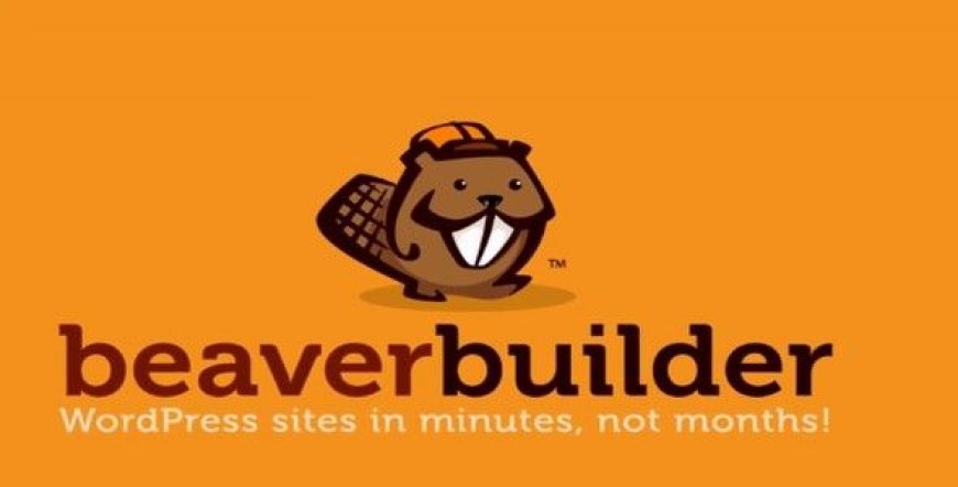 Beaver Builder Pro v2.8.4.1