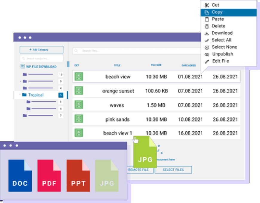 WP File Download v6.1.5 - The File Manager WordPress Plugin