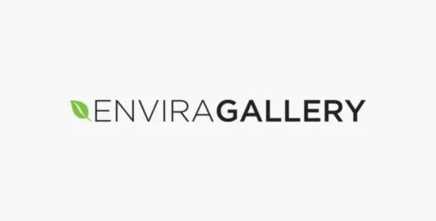 Envira Gallery v1.10.0